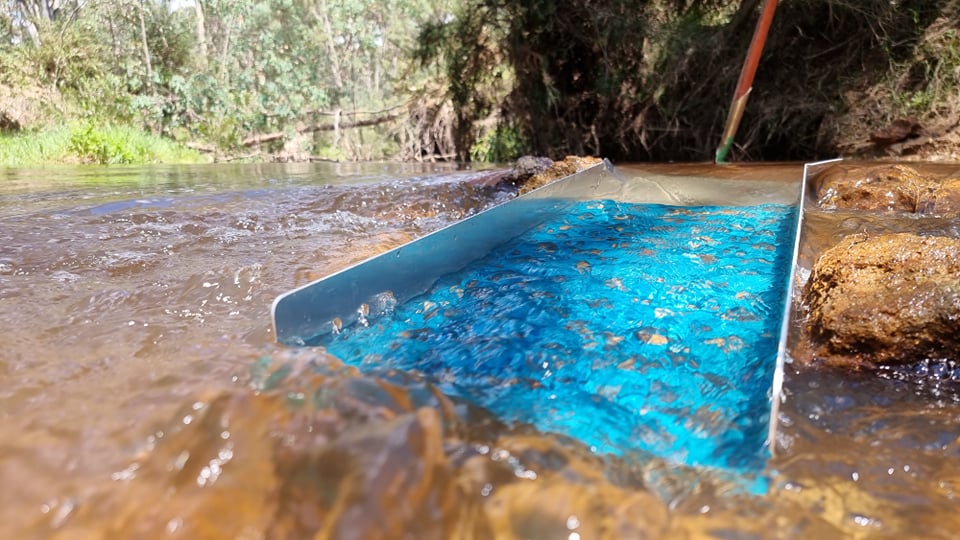 1088 Gold Rat sluice - with Mini cell Dream mat - Image 13