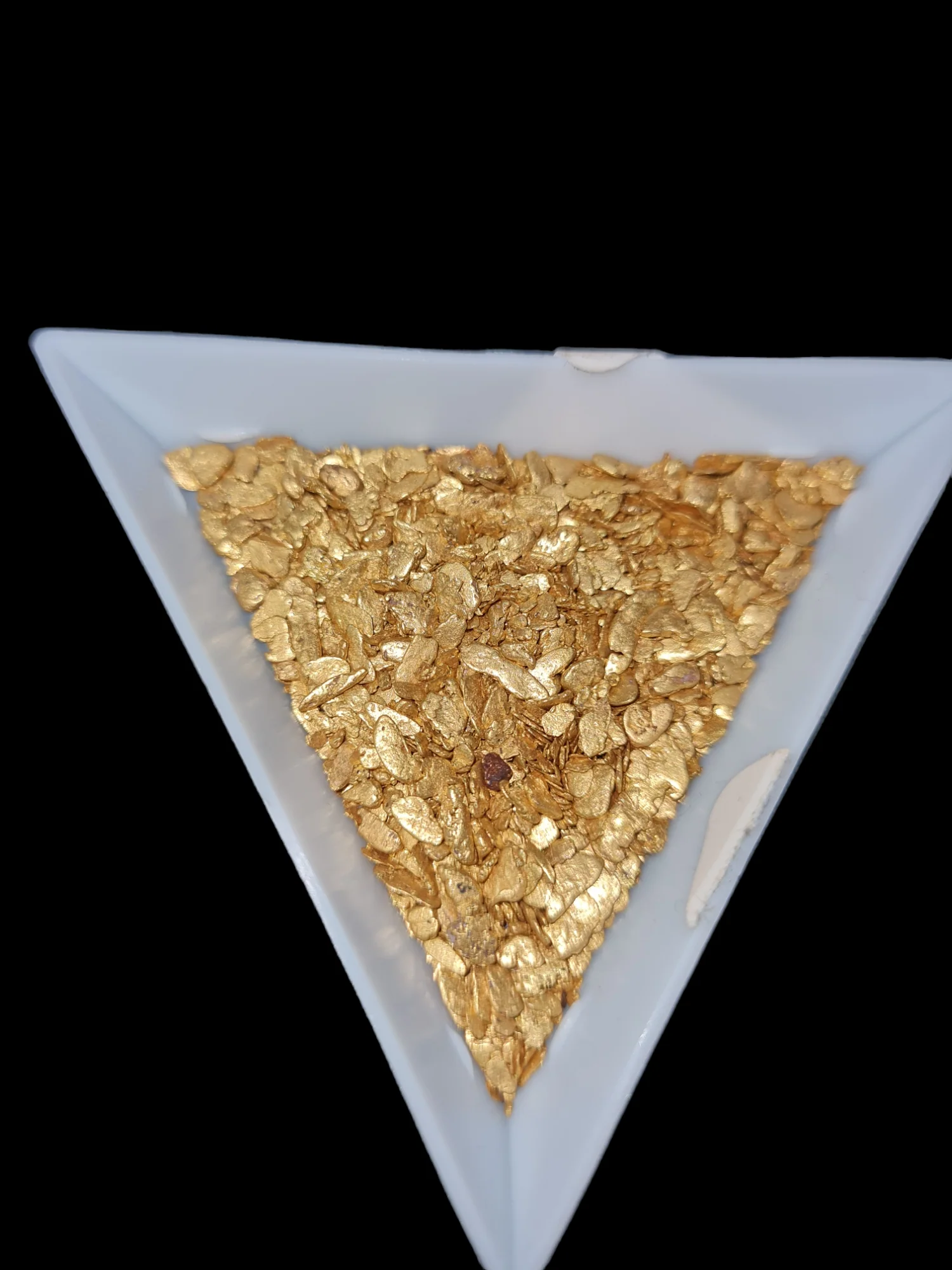 Kiwi Gold Pay Dirt - Image 3