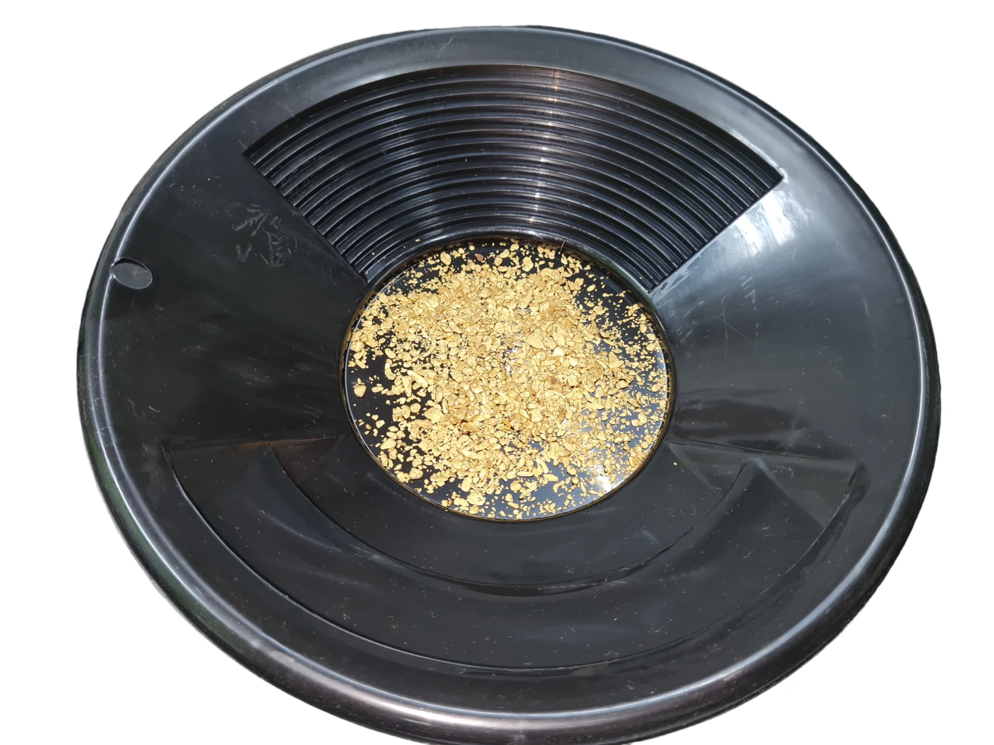 Kiwi Gold Pay Dirt - Image 4