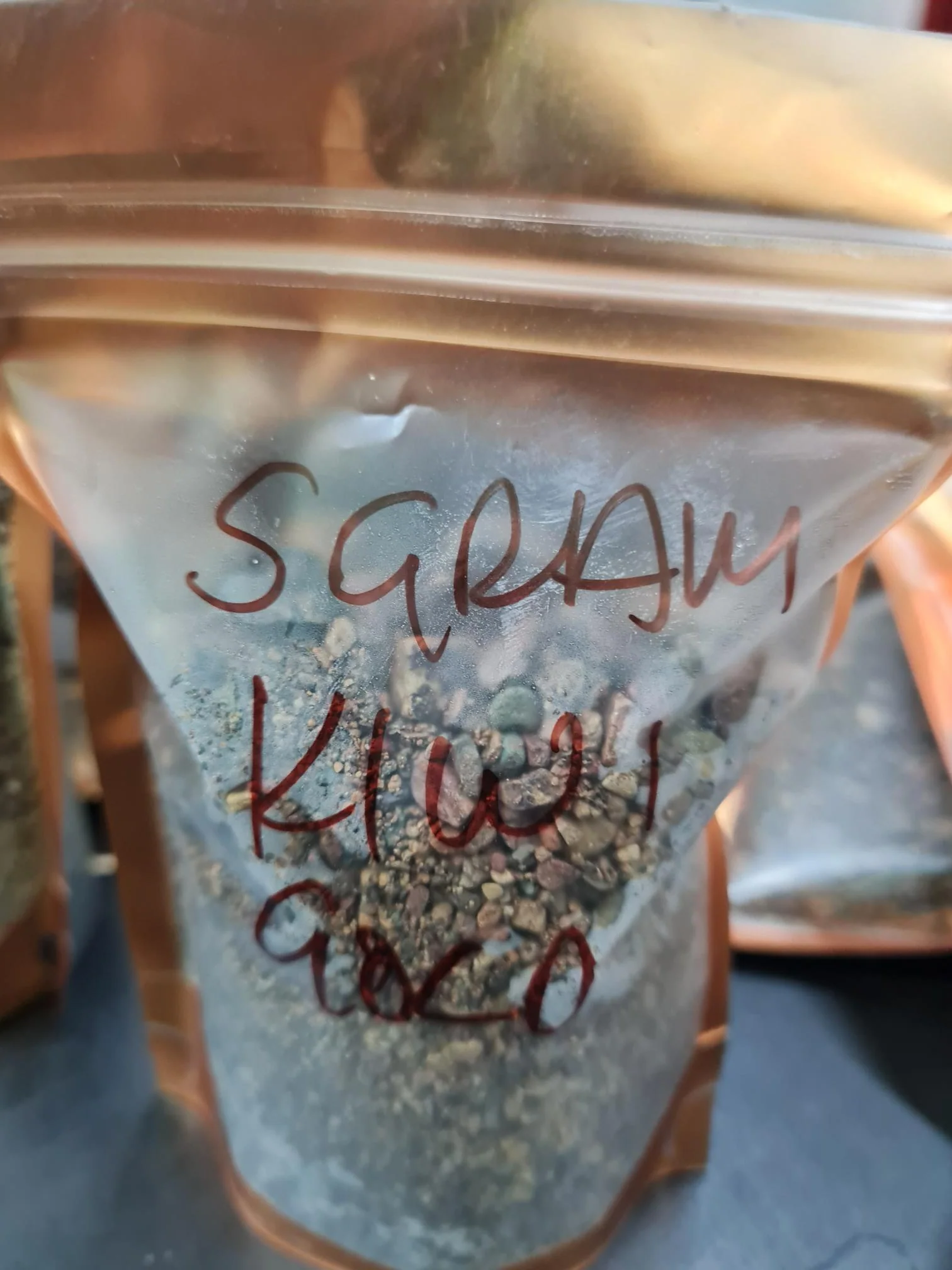 Kiwi Gold Pay Dirt - Image 6